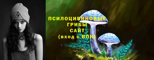 apvp Алексеевка