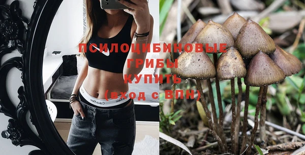 гидропоника Алзамай