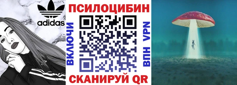 Псилоцибиновые грибы Psilocybine cubensis  Осинники 