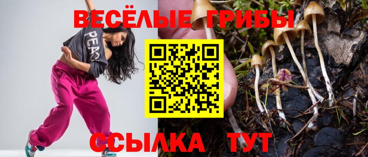 Псилоцибиновые грибы мицелий  сколько стоит  Осинники  Вход с VPN 